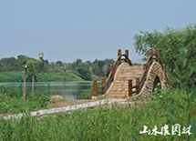 ������H����