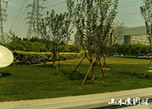 ���P(gu��n)��ܛ���@����