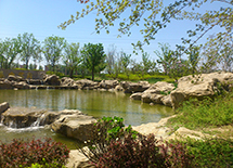 ��������ˮϵ