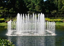 �A���@��Ȫ